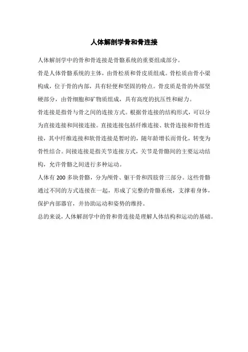 人体解剖学骨和骨连接