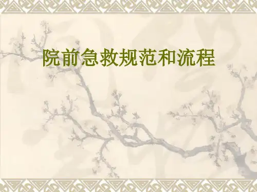 院前急救规范及流程