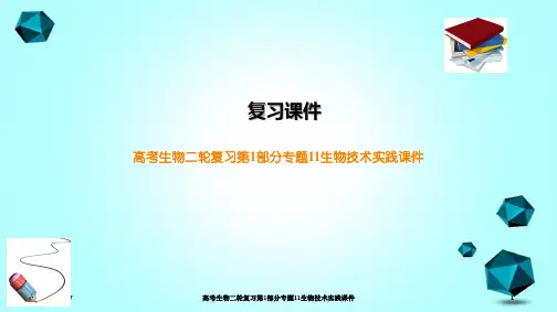 高考生物二轮复习第1部分专题11生物技术实践课件