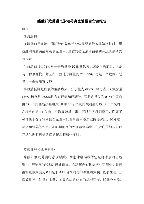 醋酸纤维薄膜电泳法分离血清蛋白实验报告_0
