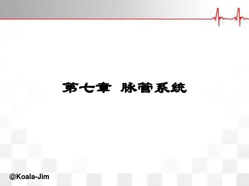解剖学基础脉管系统主要知识点九图表