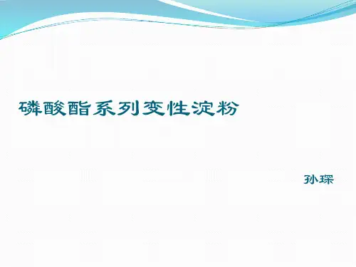 淀粉磷酸酯