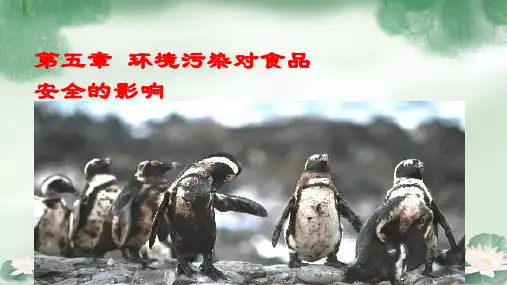 环境污染对食品安全的影响