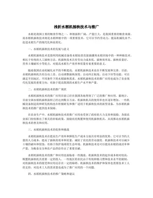 浅析水稻机插秧技术与推广