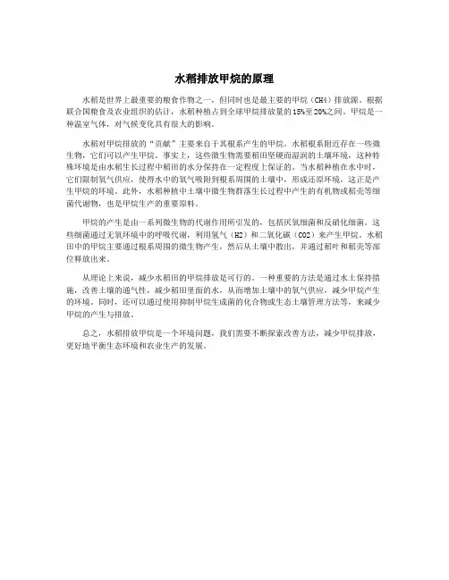 水稻排放甲烷的原理