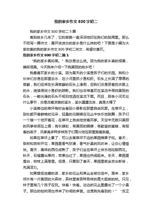 我的家乡作文800字初二