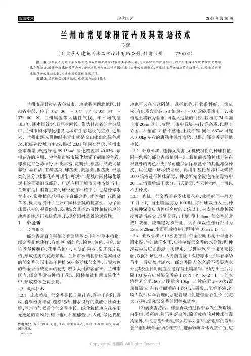 兰州市常见球根花卉及其栽培技术