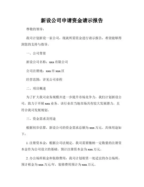 新设公司申请资金请示报告