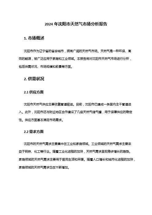 2024年沈阳市天然气市场分析报告