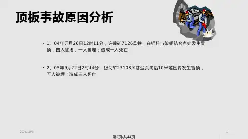 资料锚杆支护技巧.pptx