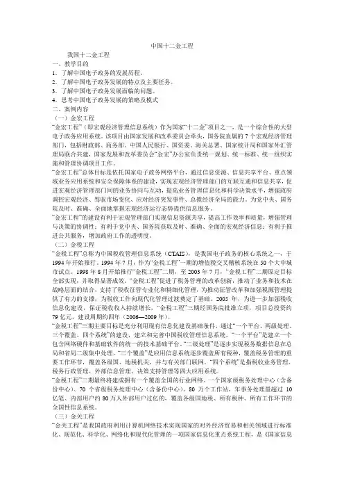 中国十二金工程