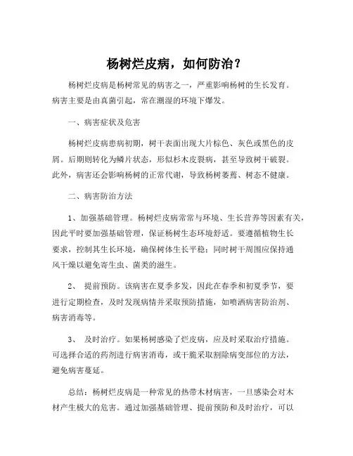 杨树烂皮病及其防治方法