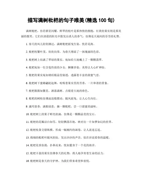 描写满树枇杷的句子唯美(精选100句)