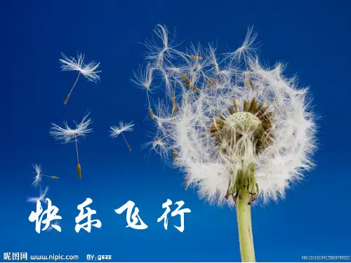 家庭中亲子阅读方法课件.