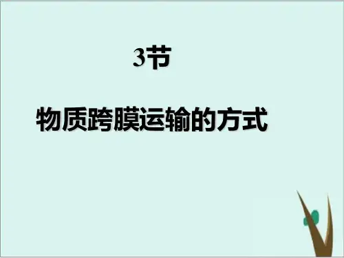《物质跨膜运输的方式 》人教版ppt课件完美版26