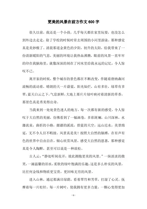 更美的风景在前方作文600字