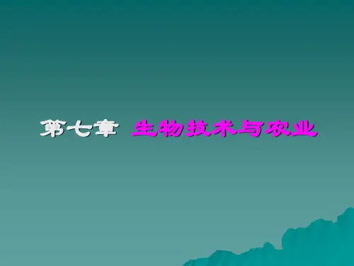 生物技术   生物技术与农业