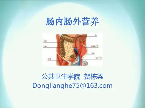 肠内肠外营养详解