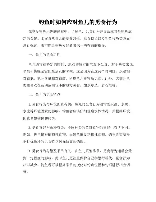 钓鱼时如何应对鱼儿的觅食行为