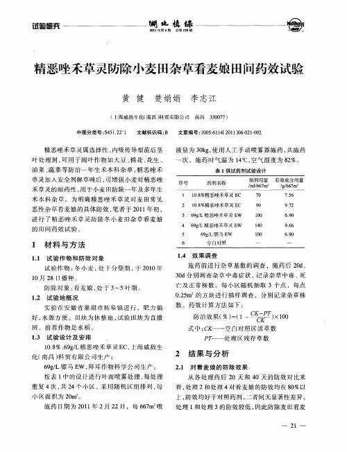 精恶唑禾草灵防除小麦田杂草看麦娘田间药效试验