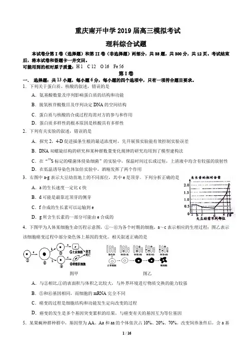 重庆南开中学2019届高三模拟考试理科综合试题及答案