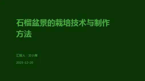石榴盆景的栽培技术与制作方法