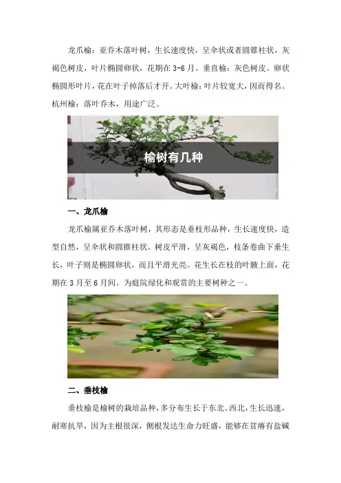 榆树有几种