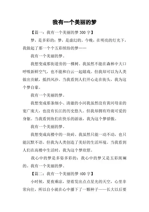 我有一个美丽的梦