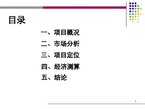 北京市顺义站前西街项目可行性汇报