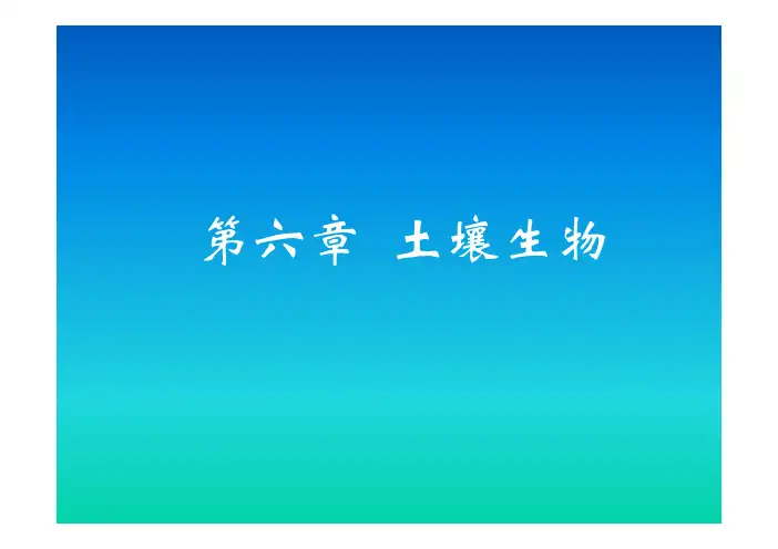 土壤生物及其功能