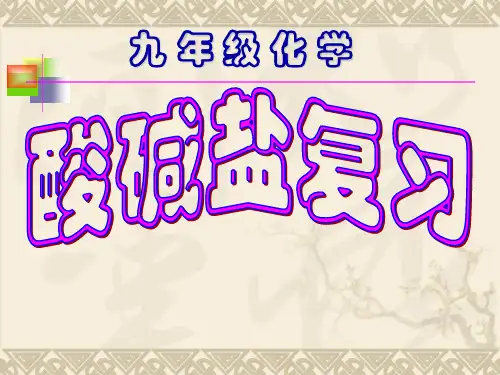 人教版九年级下次 酸碱盐总复习课件(28张PPT)