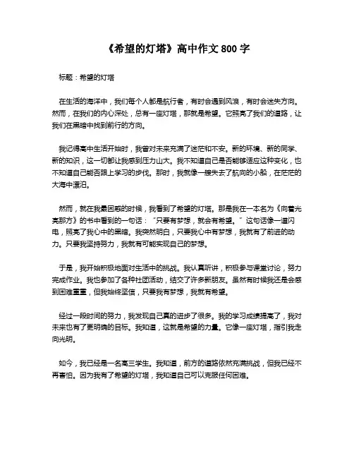《希望的灯塔》高中作文800字