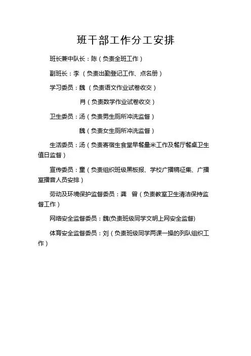 班干部工作分工安排表