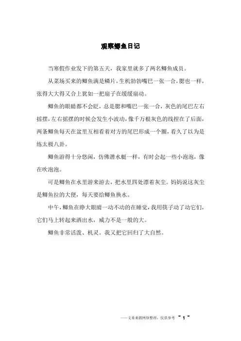 观察鲫鱼日记