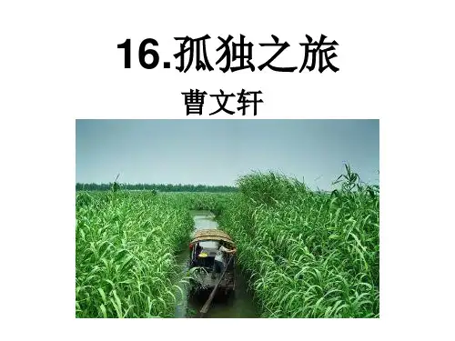 部编版语文《孤独之旅》ppt-精美1
