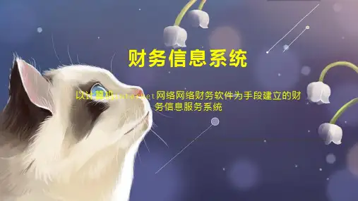 财务信息系统