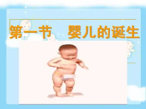 婴儿的诞生