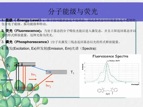 荧光共振能量转移FERT