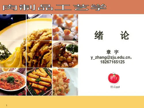 肉制品工艺学1PPT课件