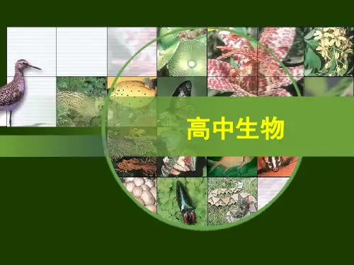 减数分裂和受精作用(4)