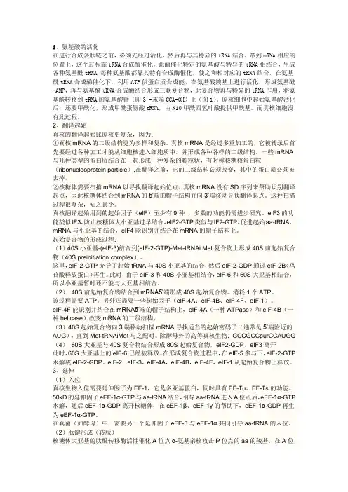 蛋白质合成过程