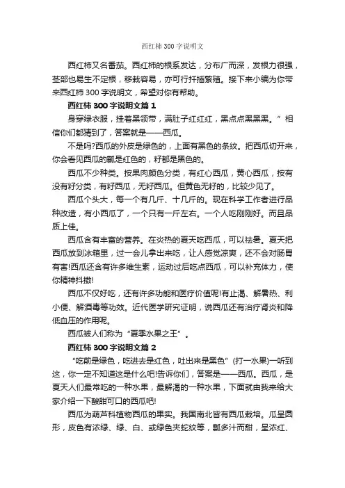 西红柿300字说明文_说明文_