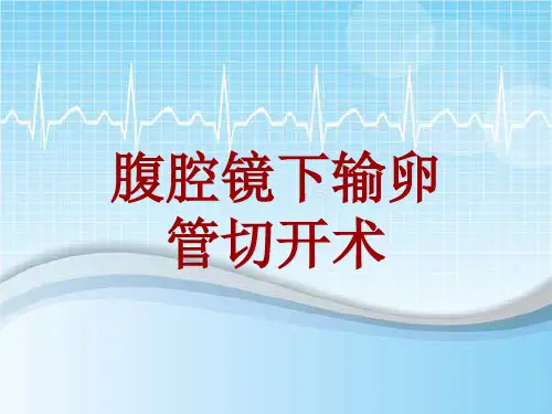 手术讲解模板：腹腔镜下输卵管切开术