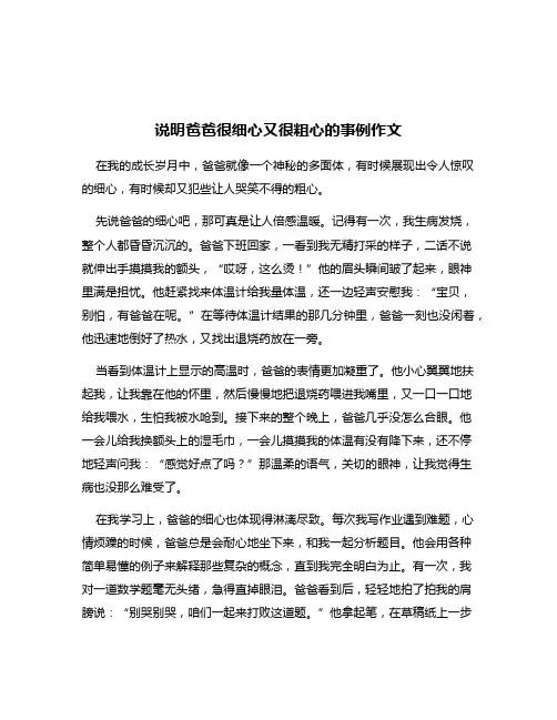 说明爸爸很细心又很粗心的事例作文