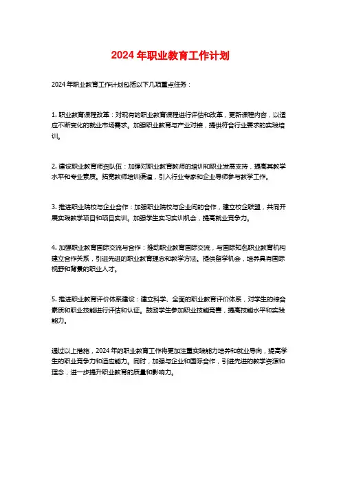 2024年职业教育工作计划