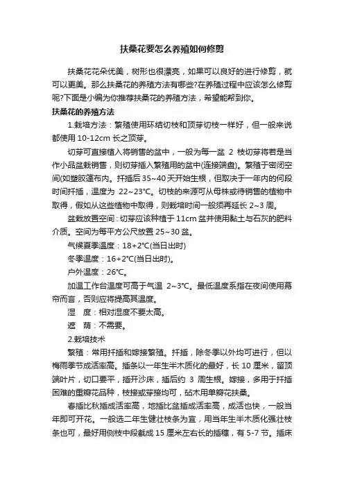 扶桑花要怎么养殖如何修剪