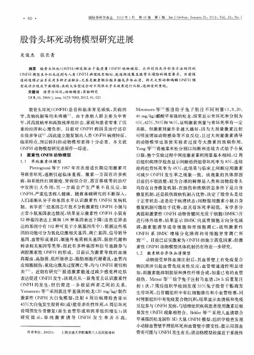 股骨头坏死动物模型研究进展