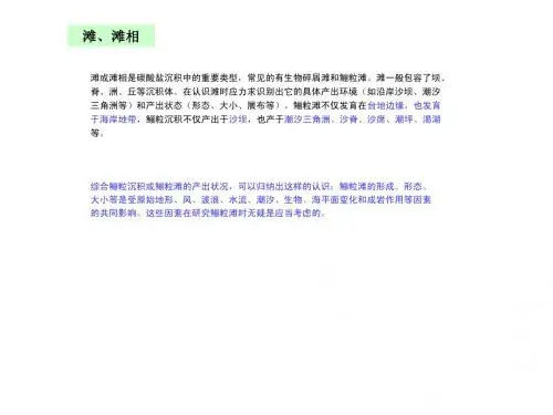 礁滩+白云岩+灰岩储层形成条件分析