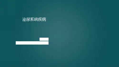 9.1.1 肾脏的组织结构