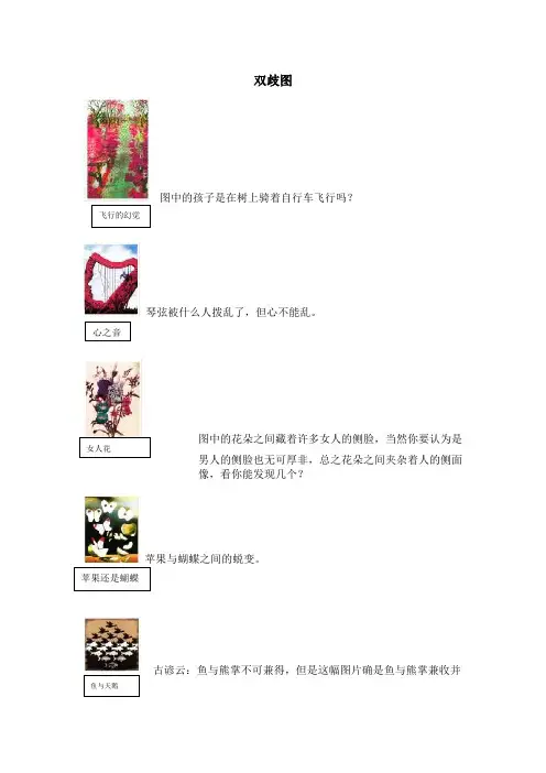 心理挂图解析及分类